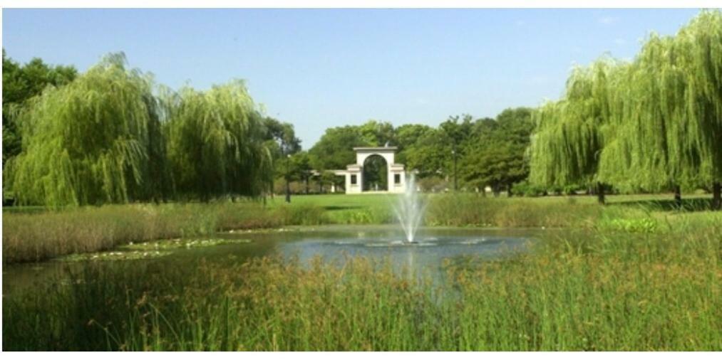 שיקגו Perfect Place To Enjoy The City Or Just Relax מראה חיצוני תמונה